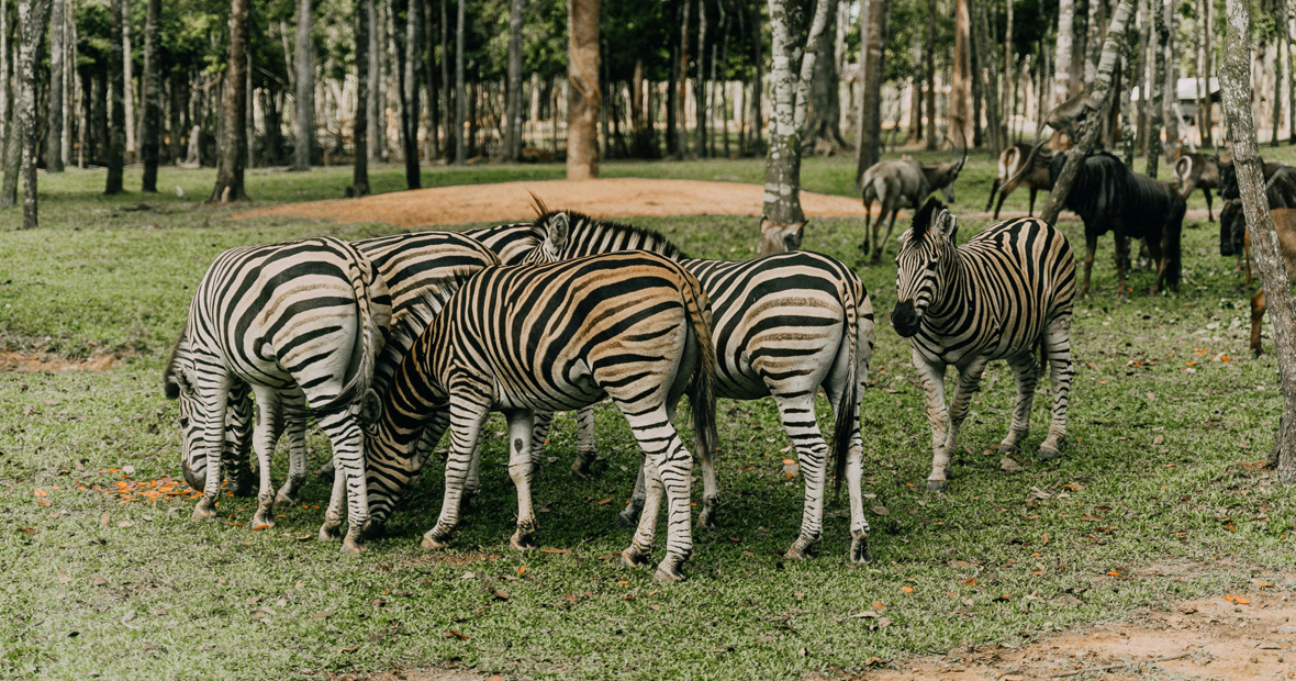parc animalier en France